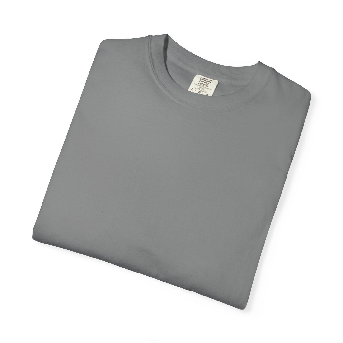 T-Shirt — Rainbow & Genesis 9:12-17 Faith Graphic