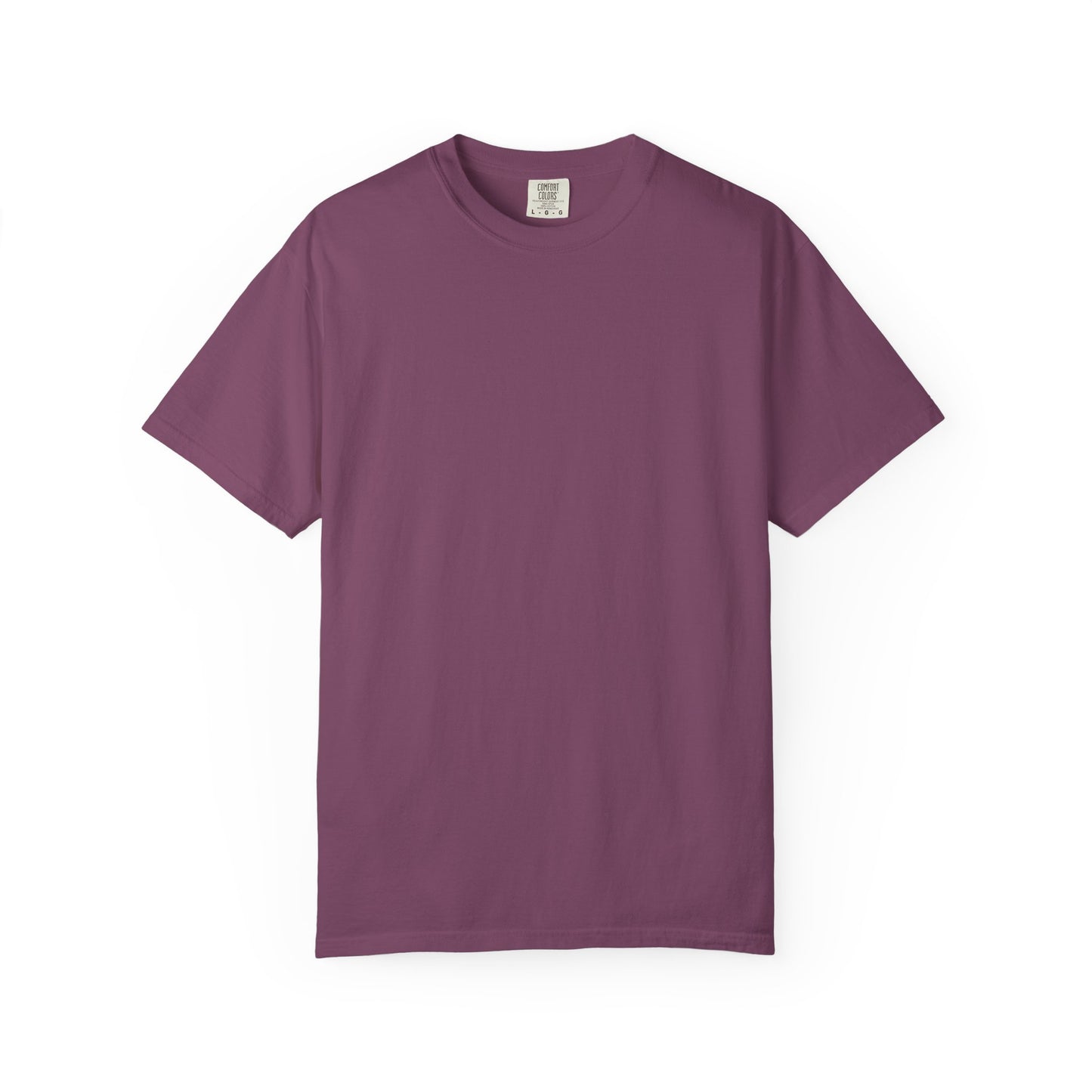 T-Shirt — Rainbow & Genesis 9:12-17 Faith Graphic
