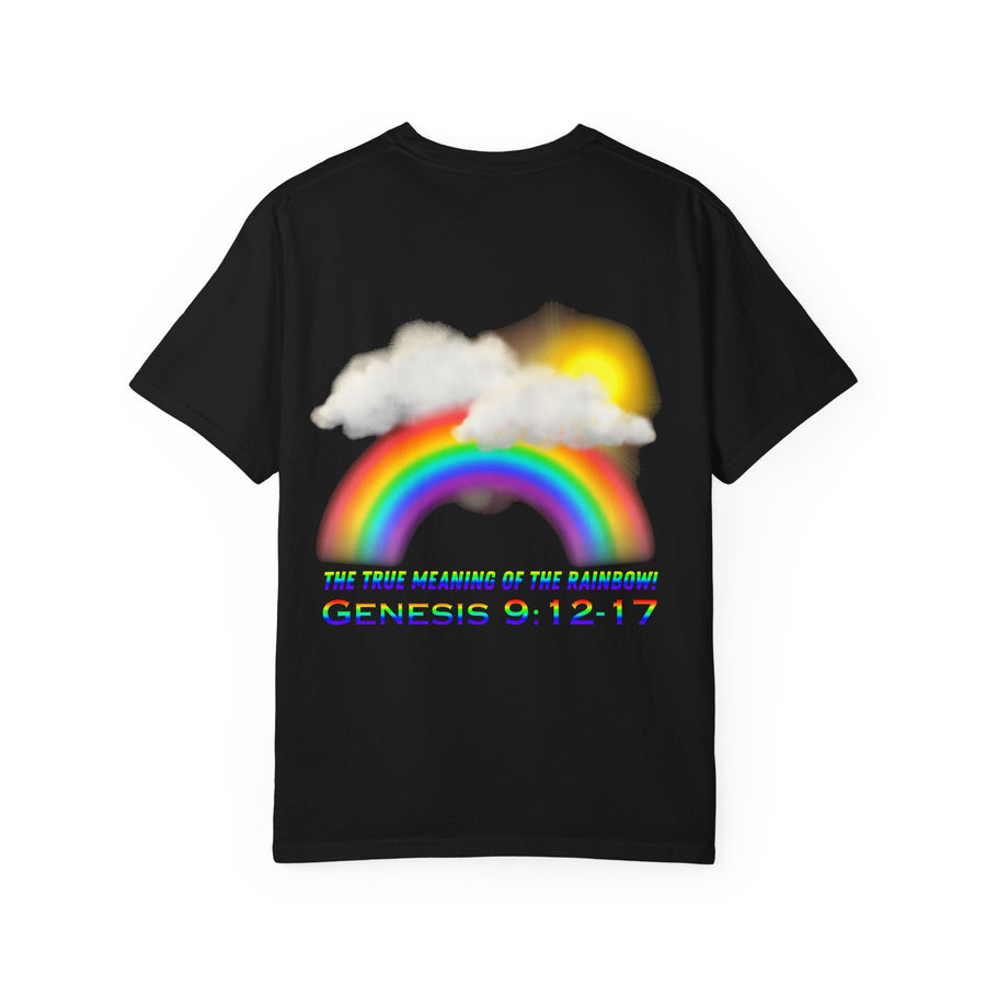 T-Shirt — Rainbow & Genesis 9:12-17 Faith Graphic