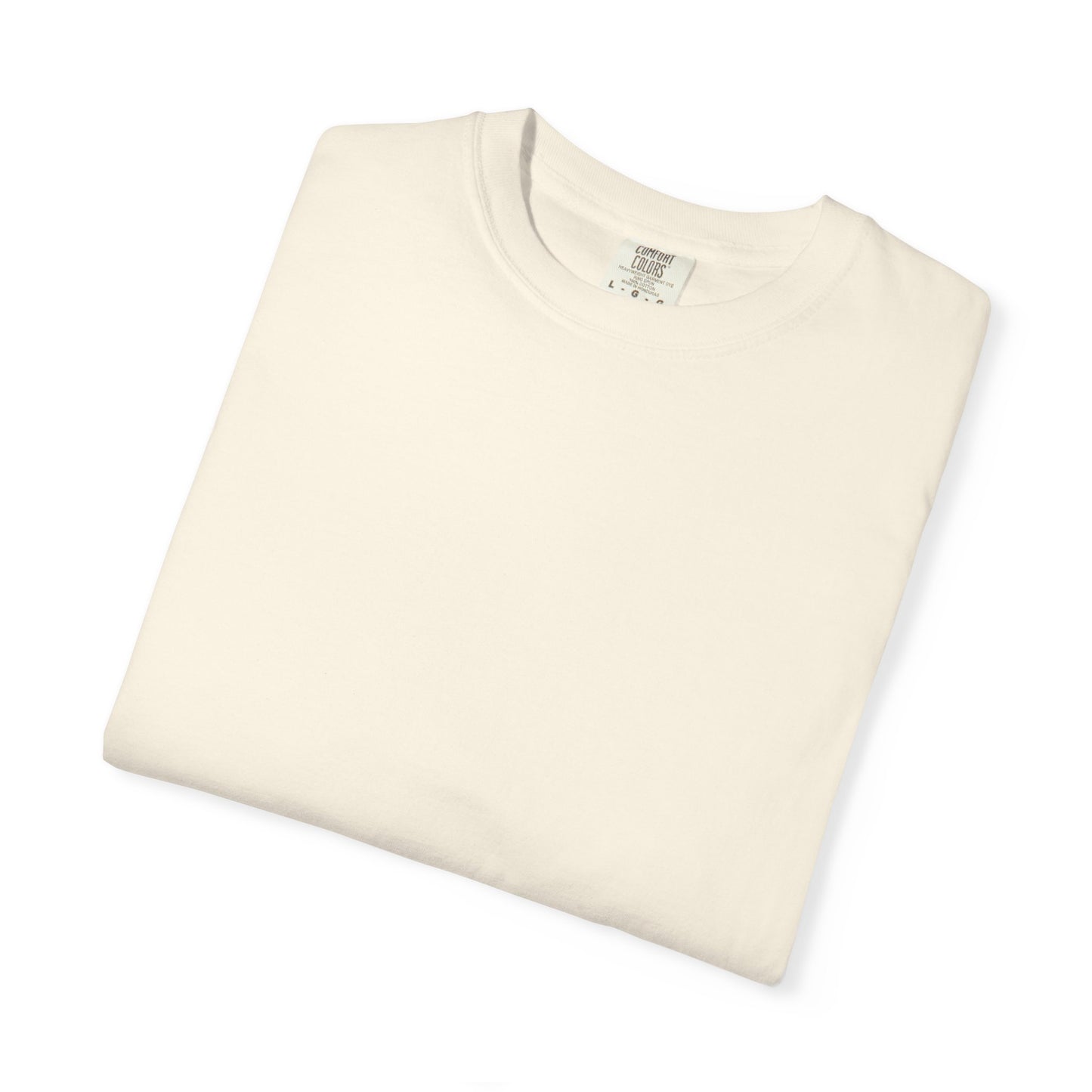 T-Shirt — Rainbow & Genesis 9:12-17 Faith Graphic